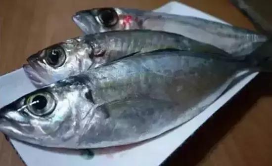 海南,尊敬的听众朋友们，大家好！今天我要带领大家走进美丽的海南，一起领略这片充满热带风情的大地。在这篇播音稿中，我们将一同探寻海南的自然风光、人文历史、民俗风情以及经济发展等多个方面。希望通过我的讲述，能让大家对海南有一个更加全面和深入的了解。