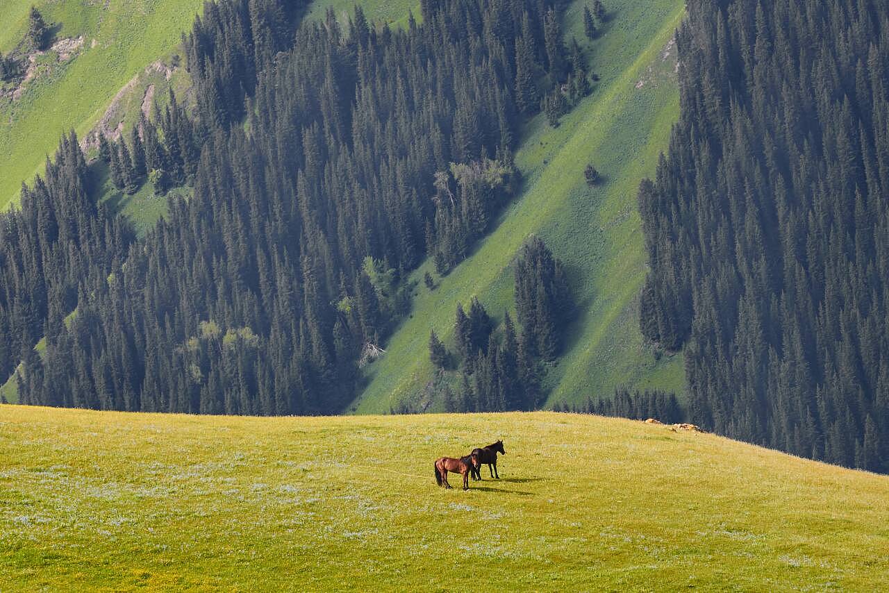 新疆风光无限🌟🏔️🍃