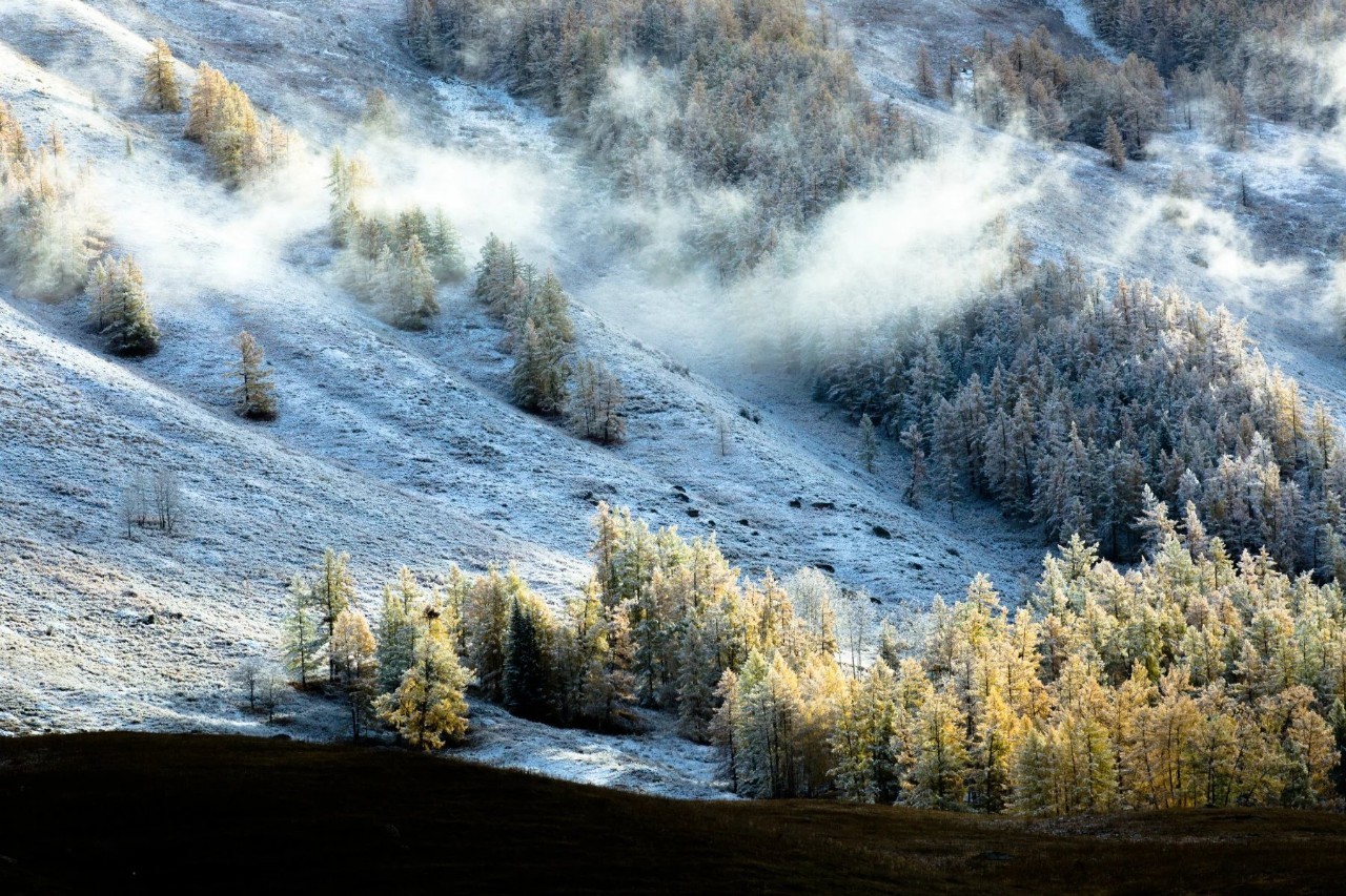 新疆风光无限🌟🏔️🍃